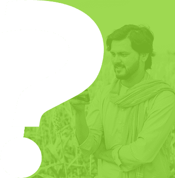 FAQ Banner