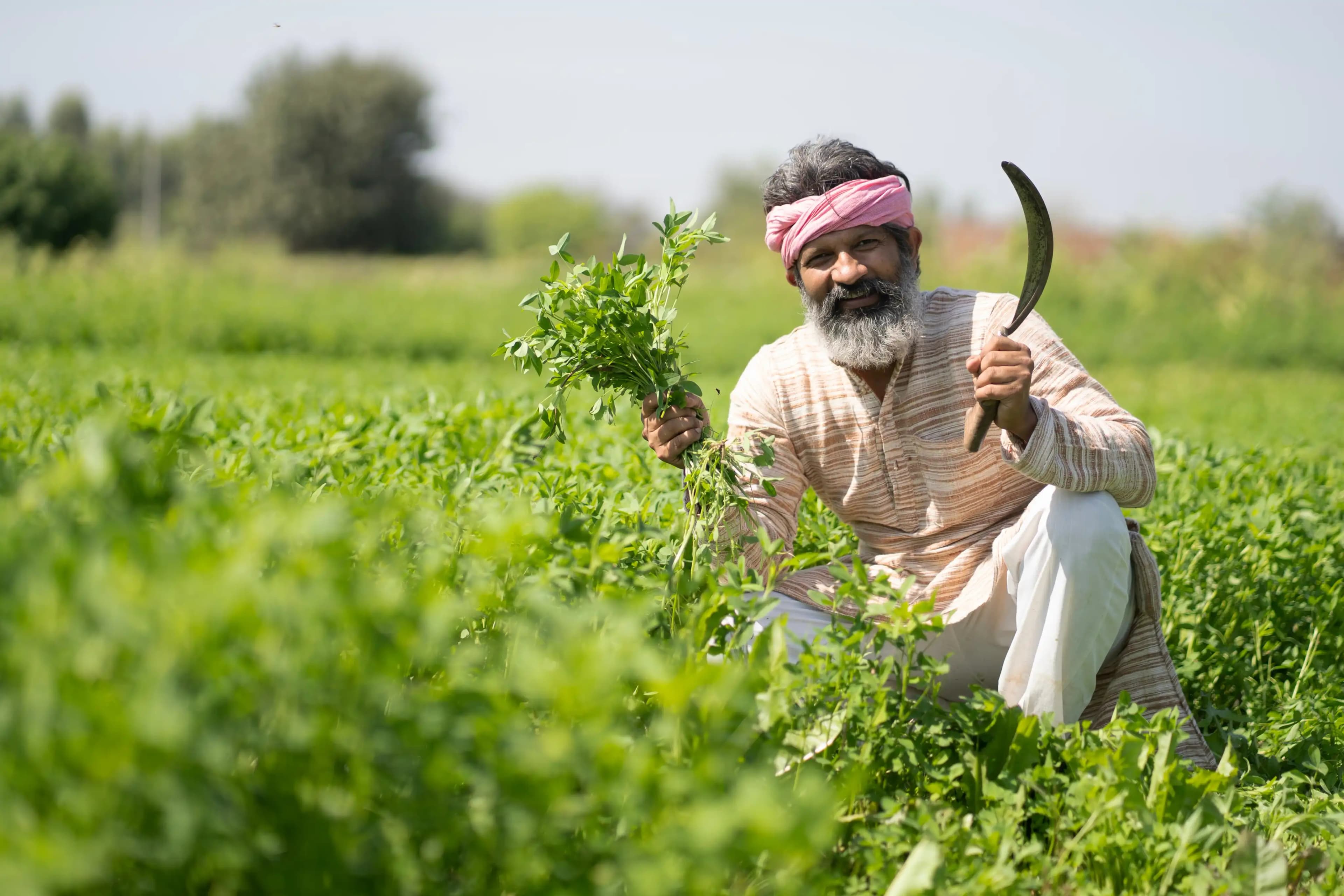 Achieve Success with Every Crop!