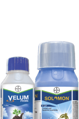 Keep harmful insects away