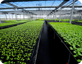 Sustainable Carbon Farming